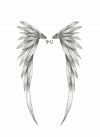 Angel wings image free tattoos designs pic